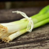 Greek Leek