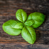 Basil Olive Oil