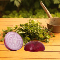 Cilantro and Roasted Onion Olive Oil