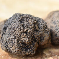 White Truffle Pure Olive Oil